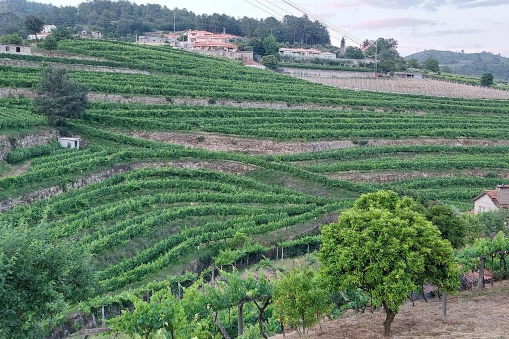 Villa Quinta Dos Castros Douro à Baião Extérieur photo