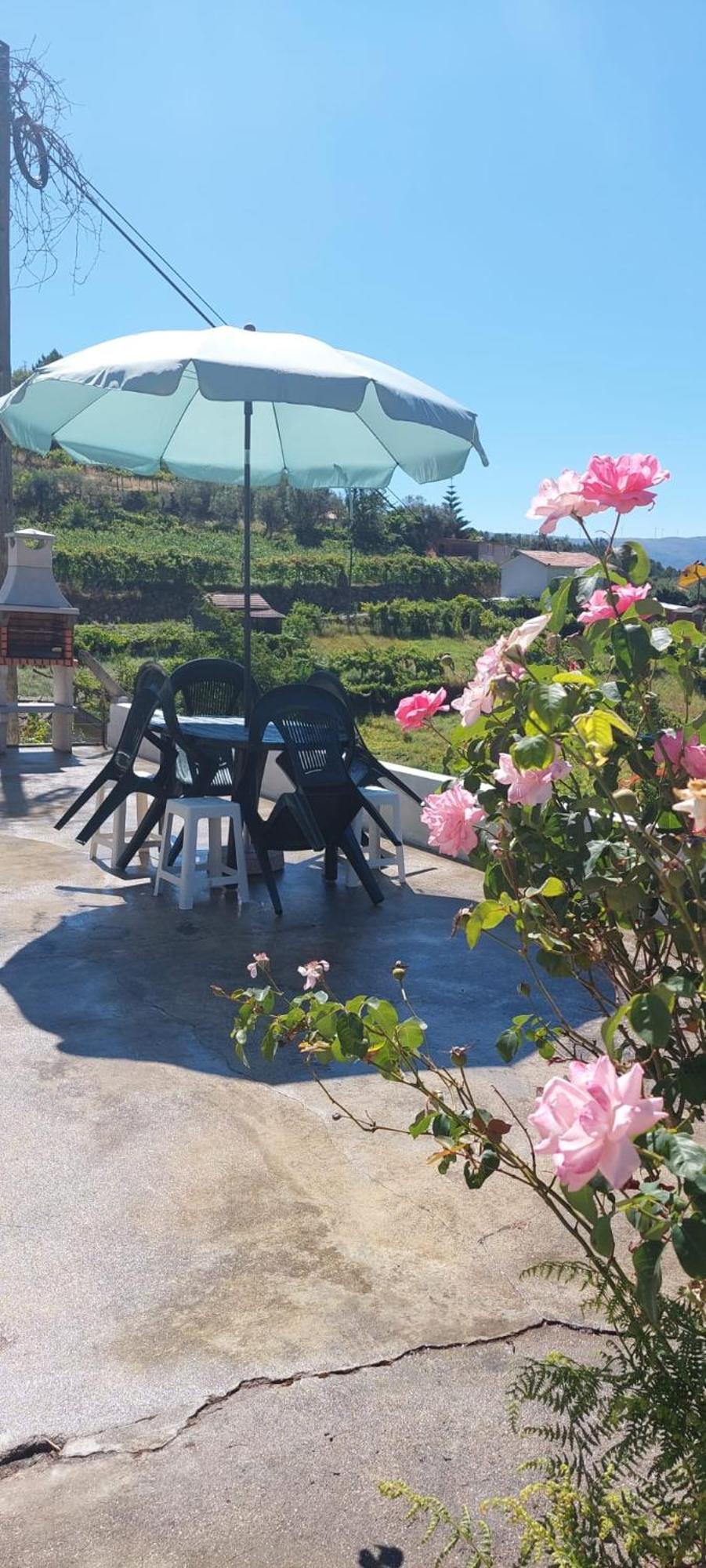 Villa Quinta Dos Castros Douro à Baião Extérieur photo