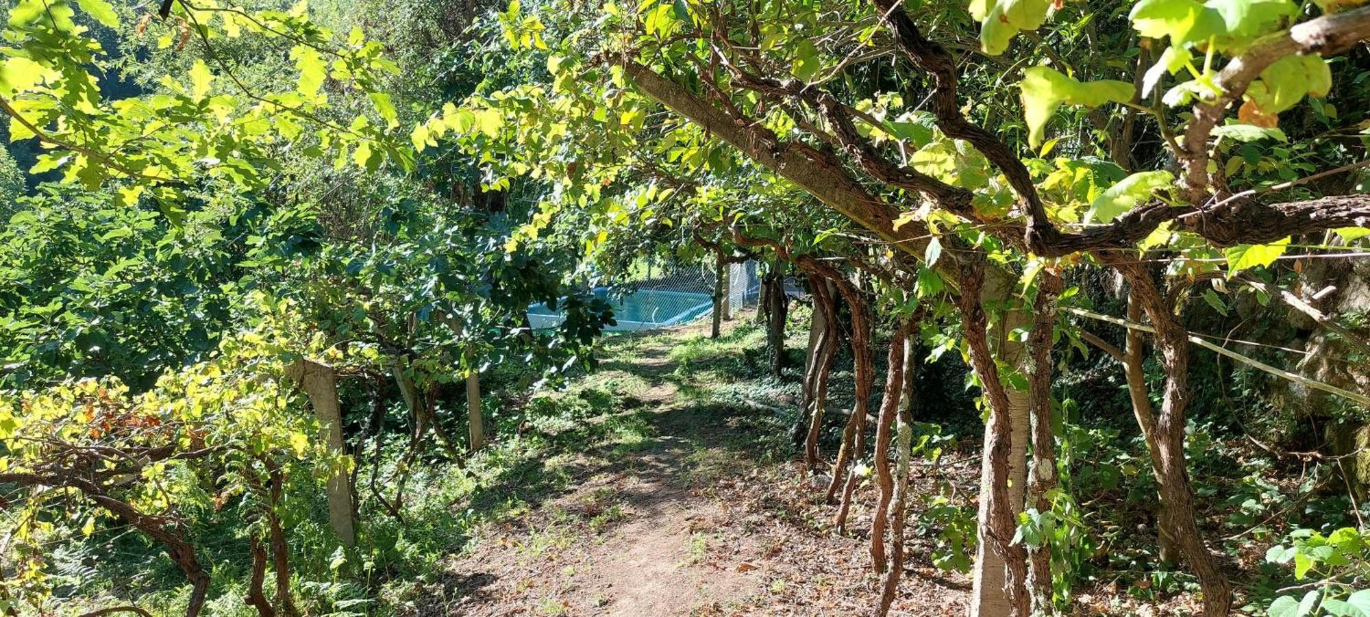 Villa Quinta Dos Castros Douro à Baião Extérieur photo