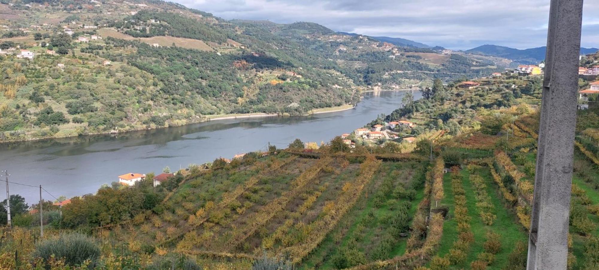 Villa Quinta Dos Castros Douro à Baião Extérieur photo